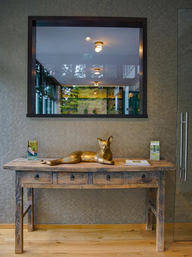 Essensio Hotel Duesseldorf 埃克拉特 外观 照片